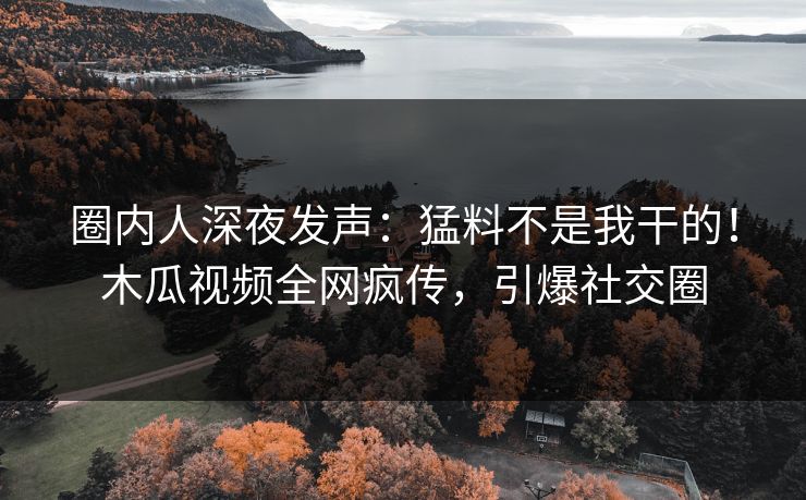 圈内人深夜发声：猛料不是我干的！木瓜视频全网疯传，引爆社交圈