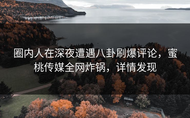 圈内人在深夜遭遇八卦刷爆评论，蜜桃传媒全网炸锅，详情发现